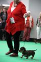 Crufts2011_2 874